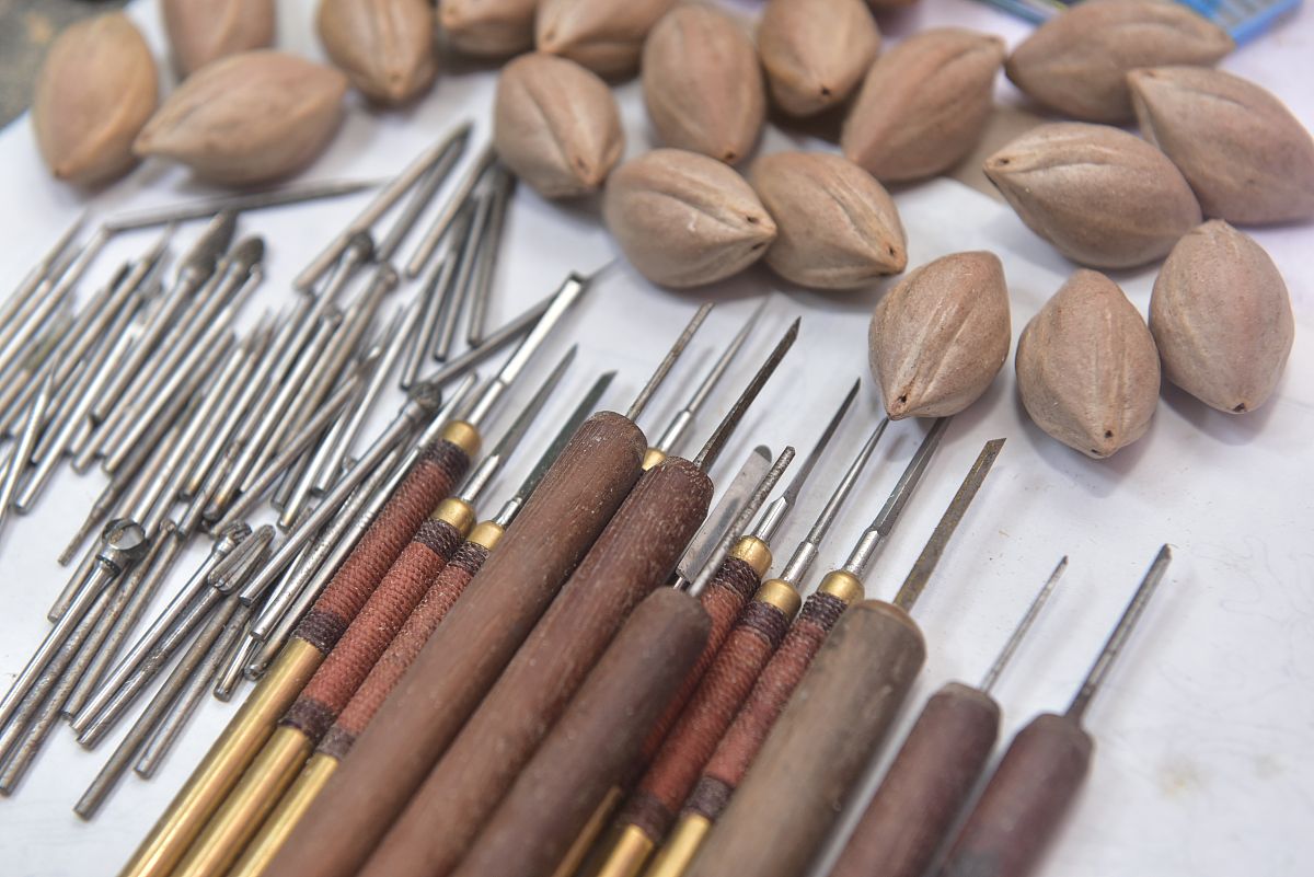 橄榄核信号如何重置小脑浦肯野细胞放电相位？机制与研究