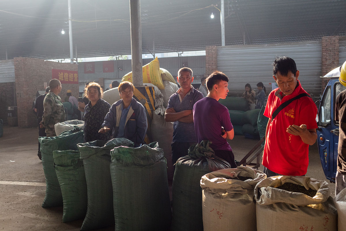 菌业公司防汛安全工厂巡查无异常报告