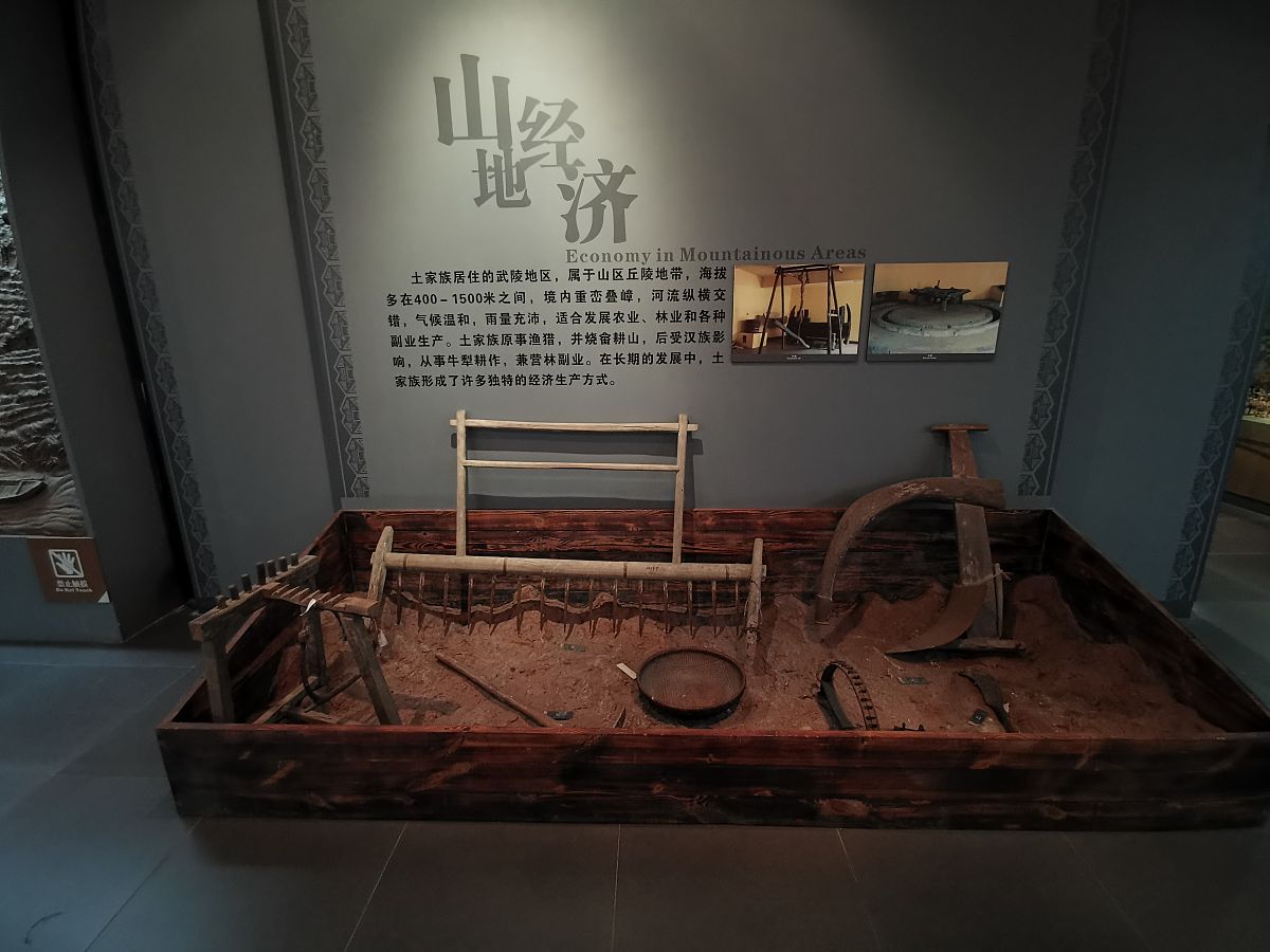 民族学学什么 主要课程有哪些