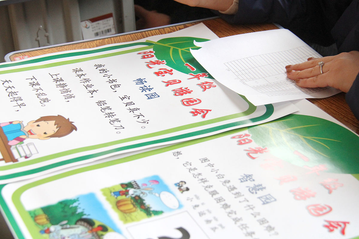 家庭社会经济状况对家庭识字环境的影响：原因分析与研究