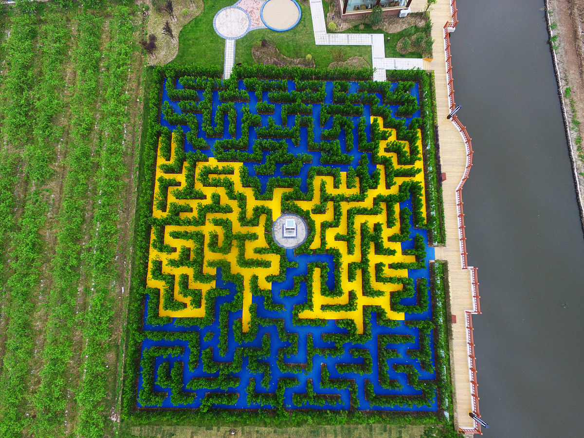 简单易画的月季花迷宫图纸教程