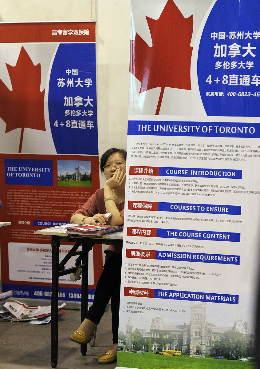 中国文科专业人士移民北欧指南：途径、条件与注意事项