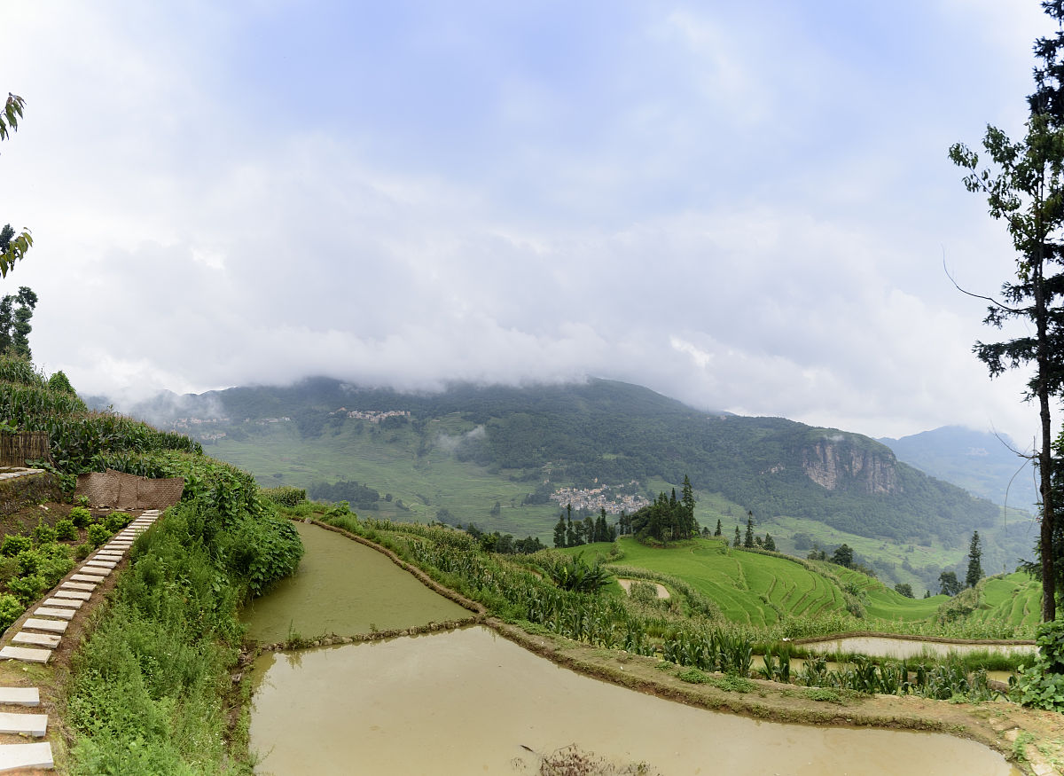 元阳县民族职业高级中学报名条件：2021年招生要求