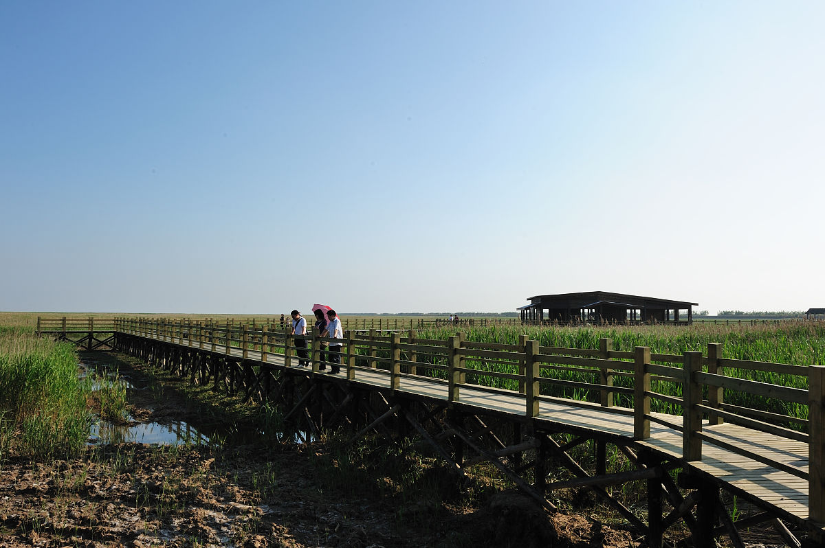 基于社会效益优化的自然保护地生态修复绩效评价研究——以崇明东滩鸟类国家级自然保护区为例