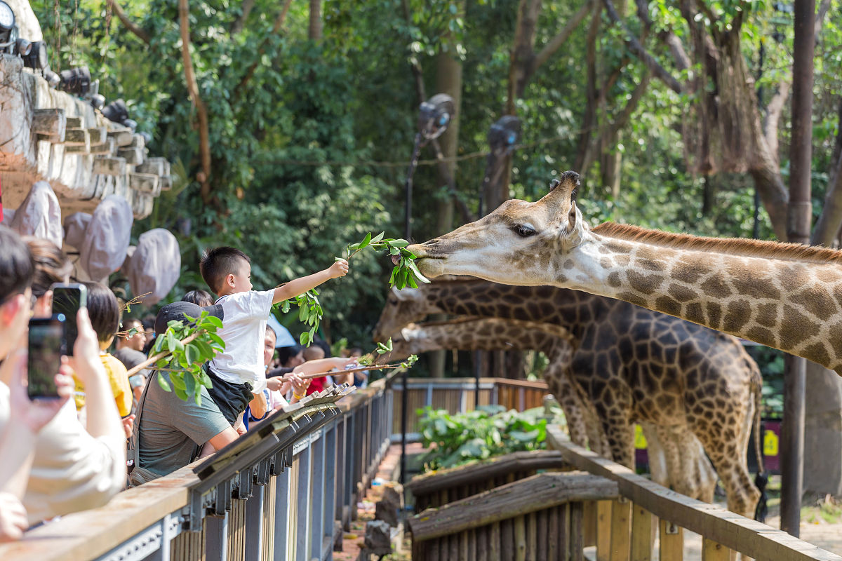 中国哪个动物园的动物是最多的？