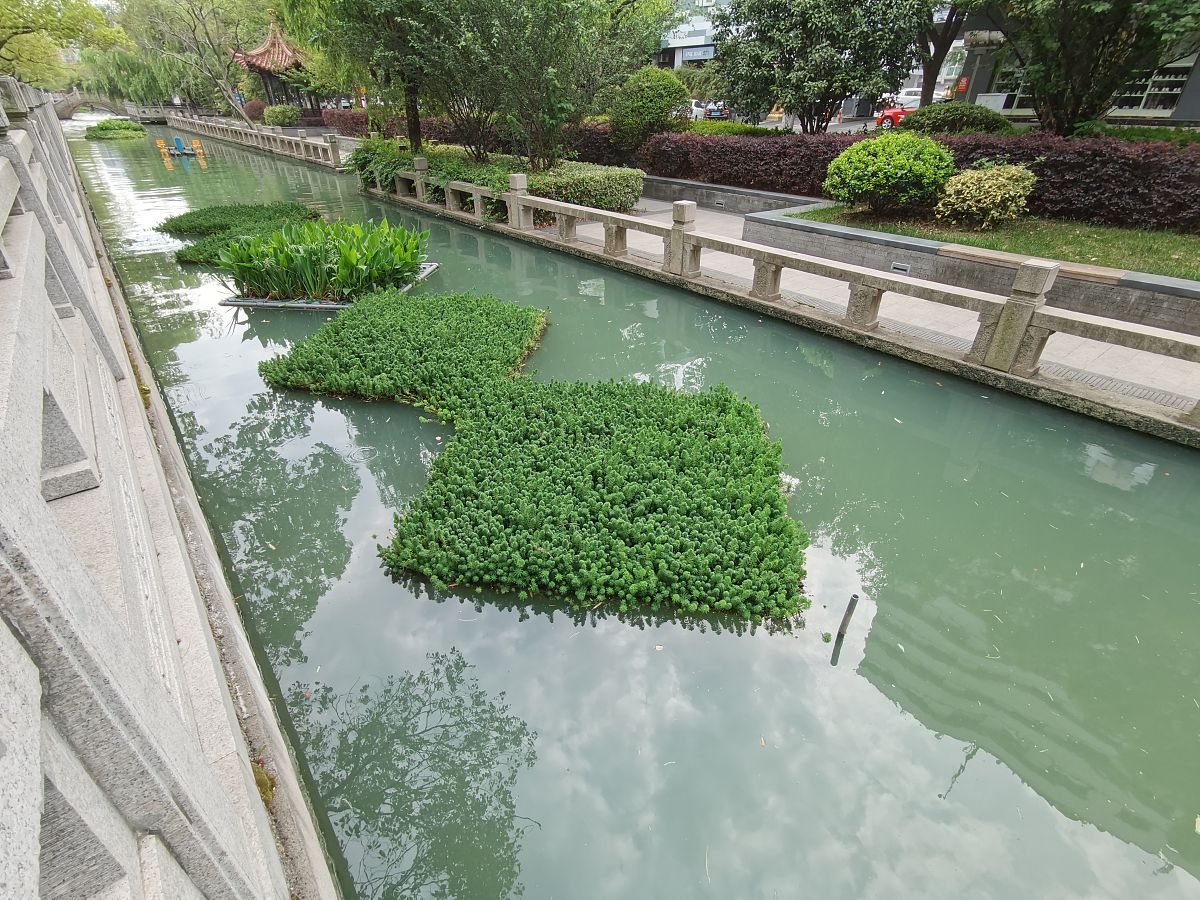 苏州市市级河道长效管护项目：公共管理案例分析