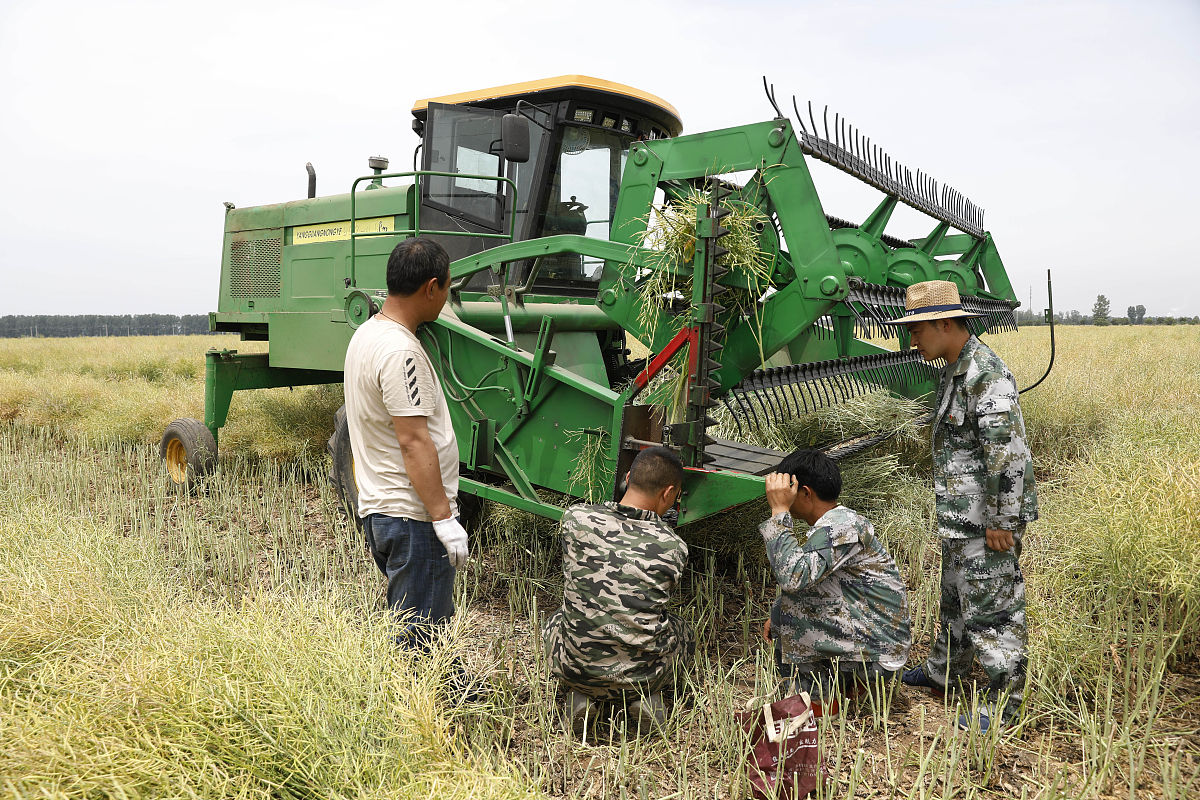 甘肃农机使用与维护专业学校推荐 - 培养农业技术人才