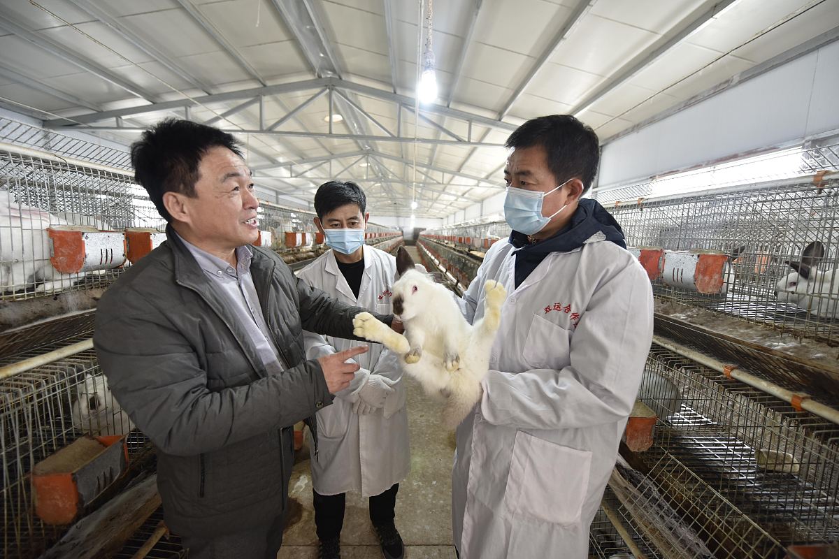 独山县中等职业学校畜牧兽医专业就业方向：未来发展前景广阔