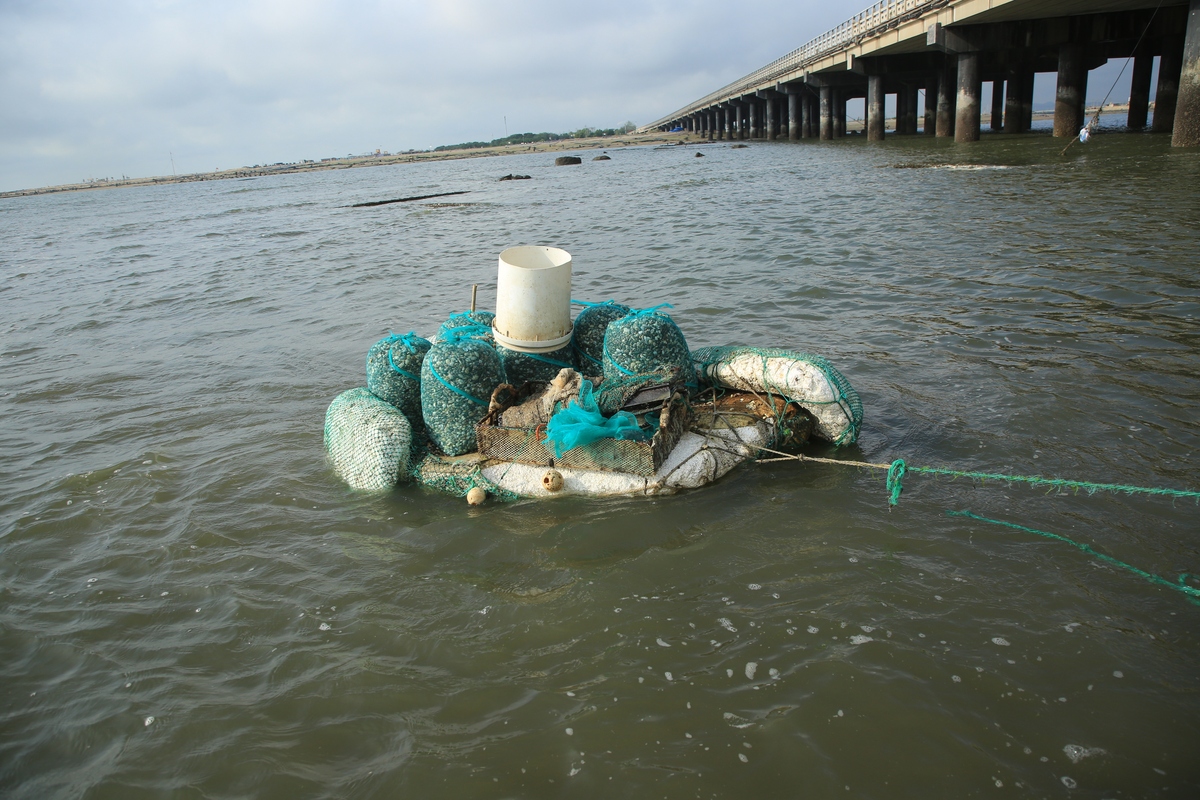 海洋生物污损：概述、影响及防治方法