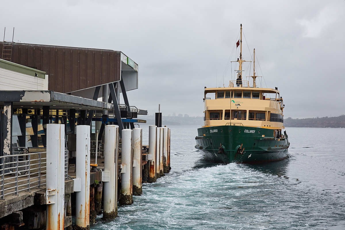 Jingtang Port Vessel Arrival Update: Draft Survey Conducted, Discharge Pending Customs Inspection