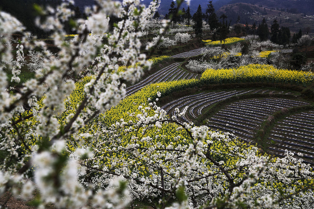 重庆黔江区民族职业教育中心高星级饭店运营与管理教学质量怎么样