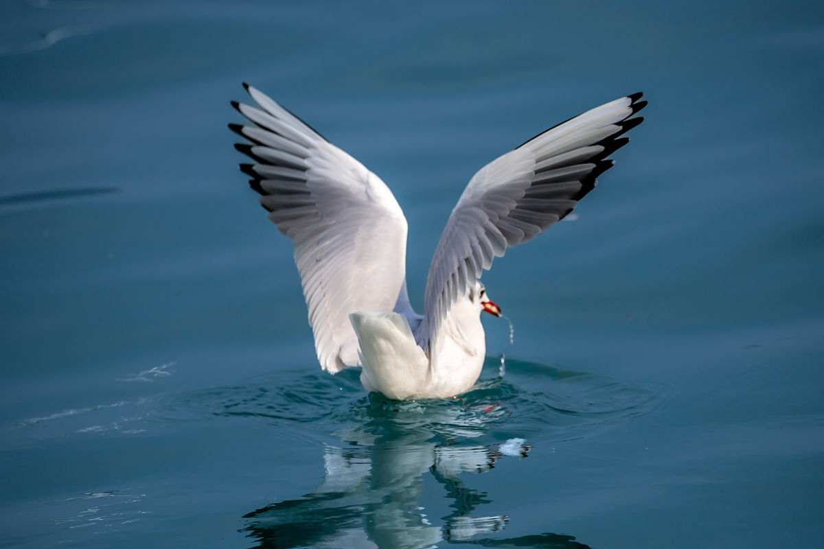 绵阳理工学校2022年招生简章