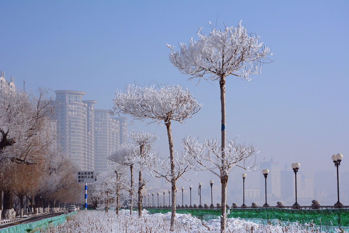 吉林种子科学与工程是冷门专业吗 发展前景如何