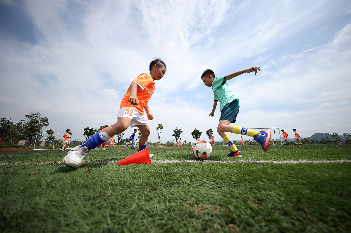 贵州工业职业技术学院是公办还是民办？深度解析！