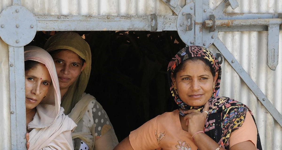 两个女人的战争