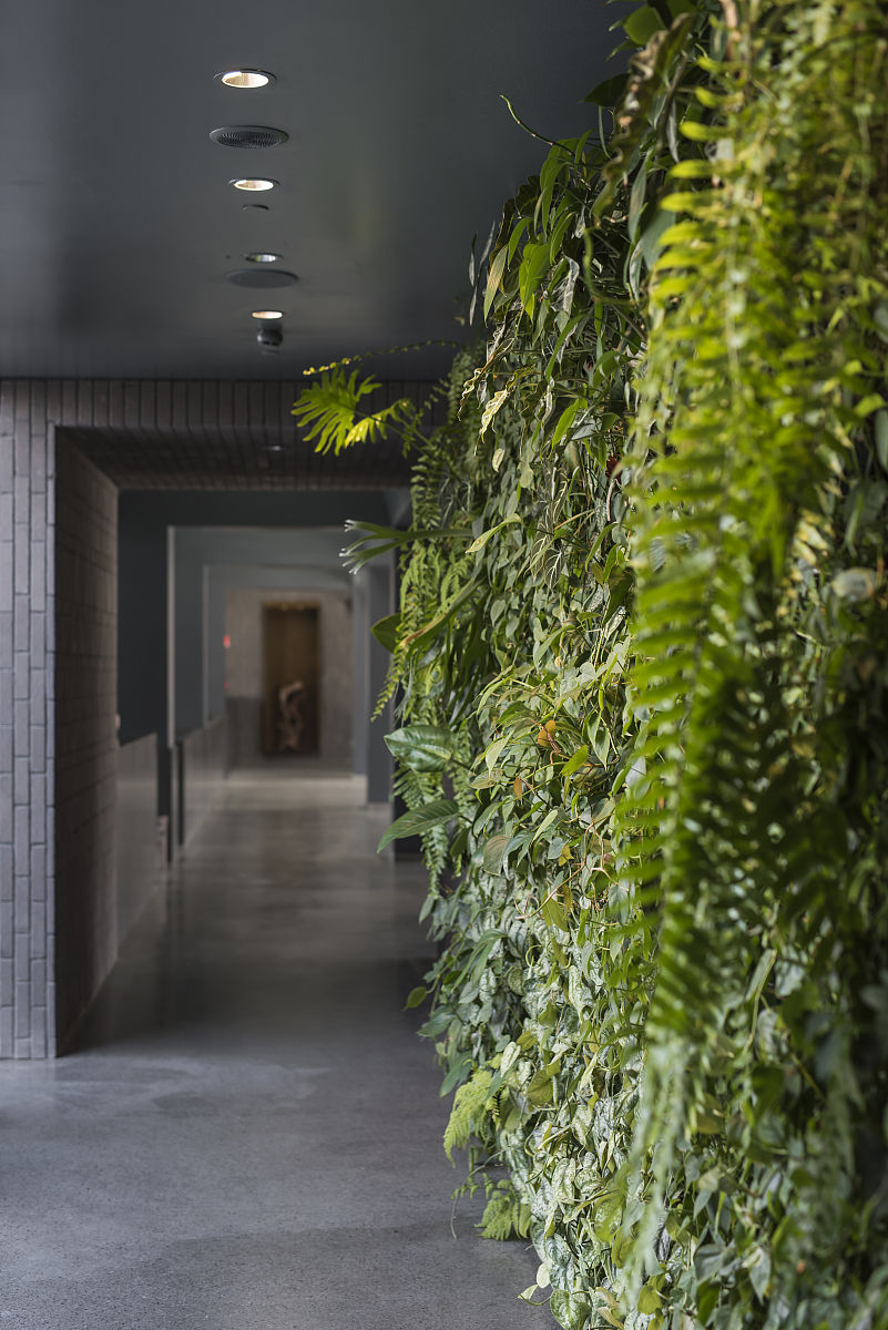 低密度绿色自然办公空间设计 论文