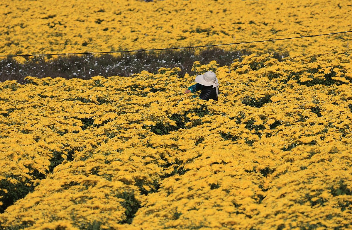 海阳媒体曝光热线电话是多少？遇到问题怎么办？