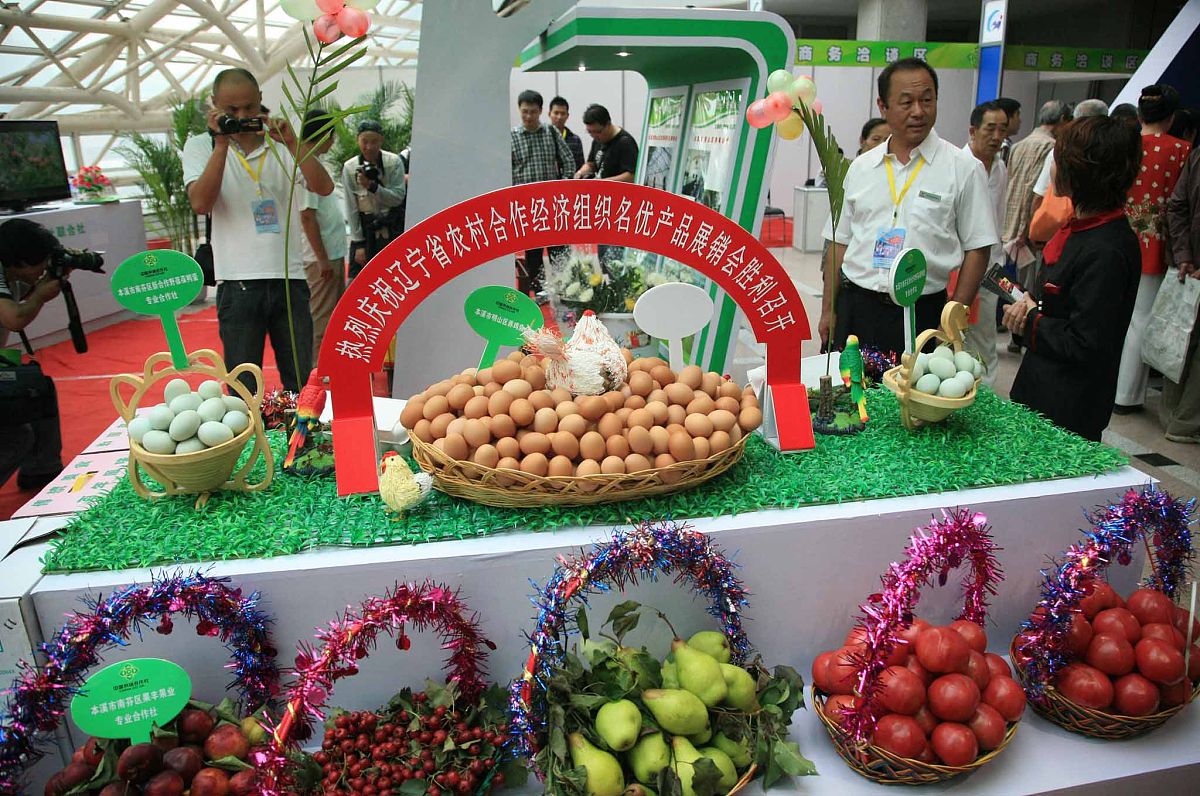 百色田东芒果文化节：如何提升旅游宣传和推广策略？