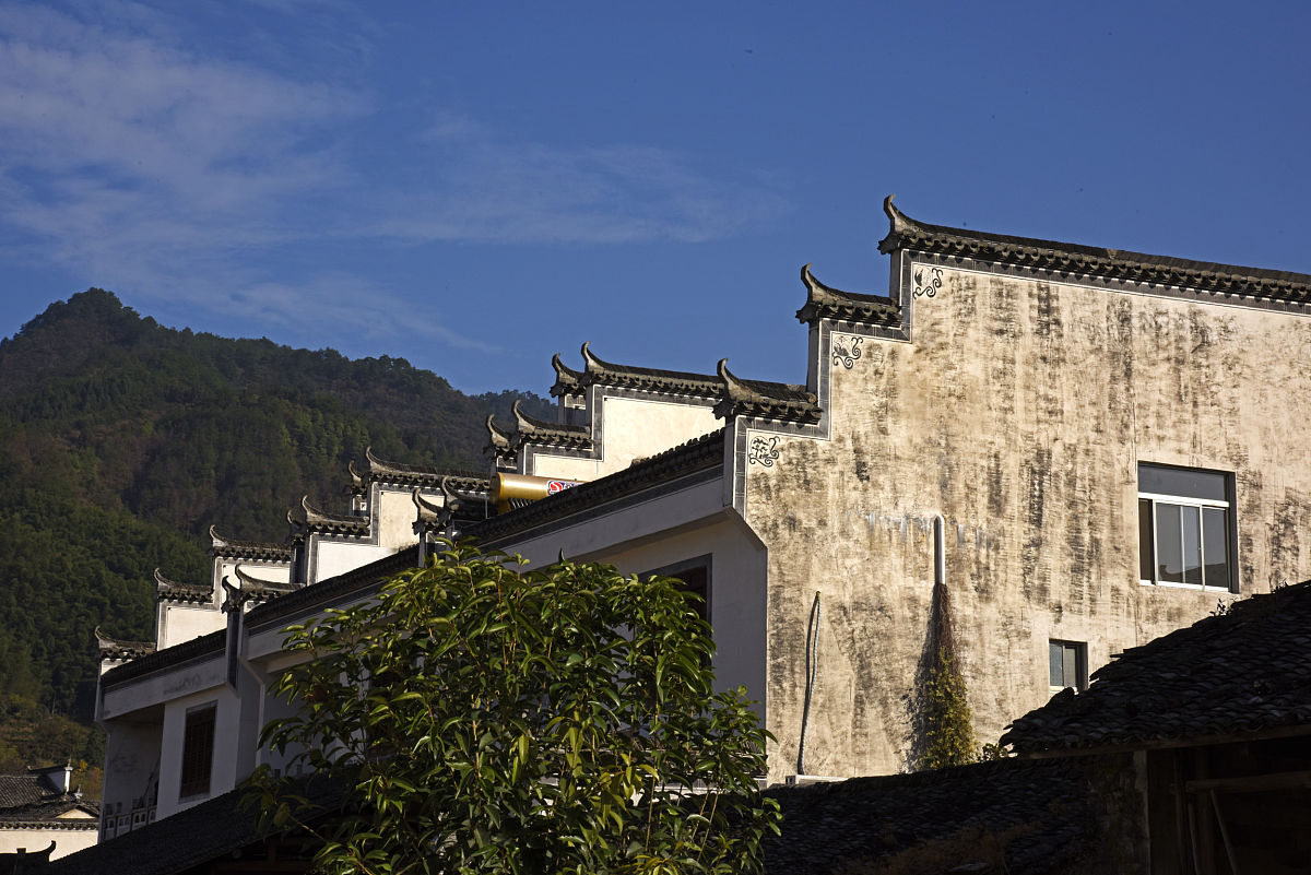 广西工商职业技术学院财务管理专业就业前景分析 - 未来发展方向