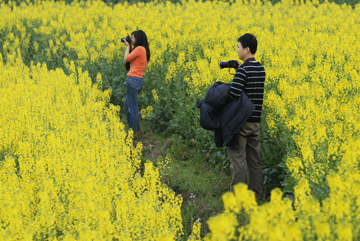 四川省农业广播电视学校专业设置：为农业发展培养人才
