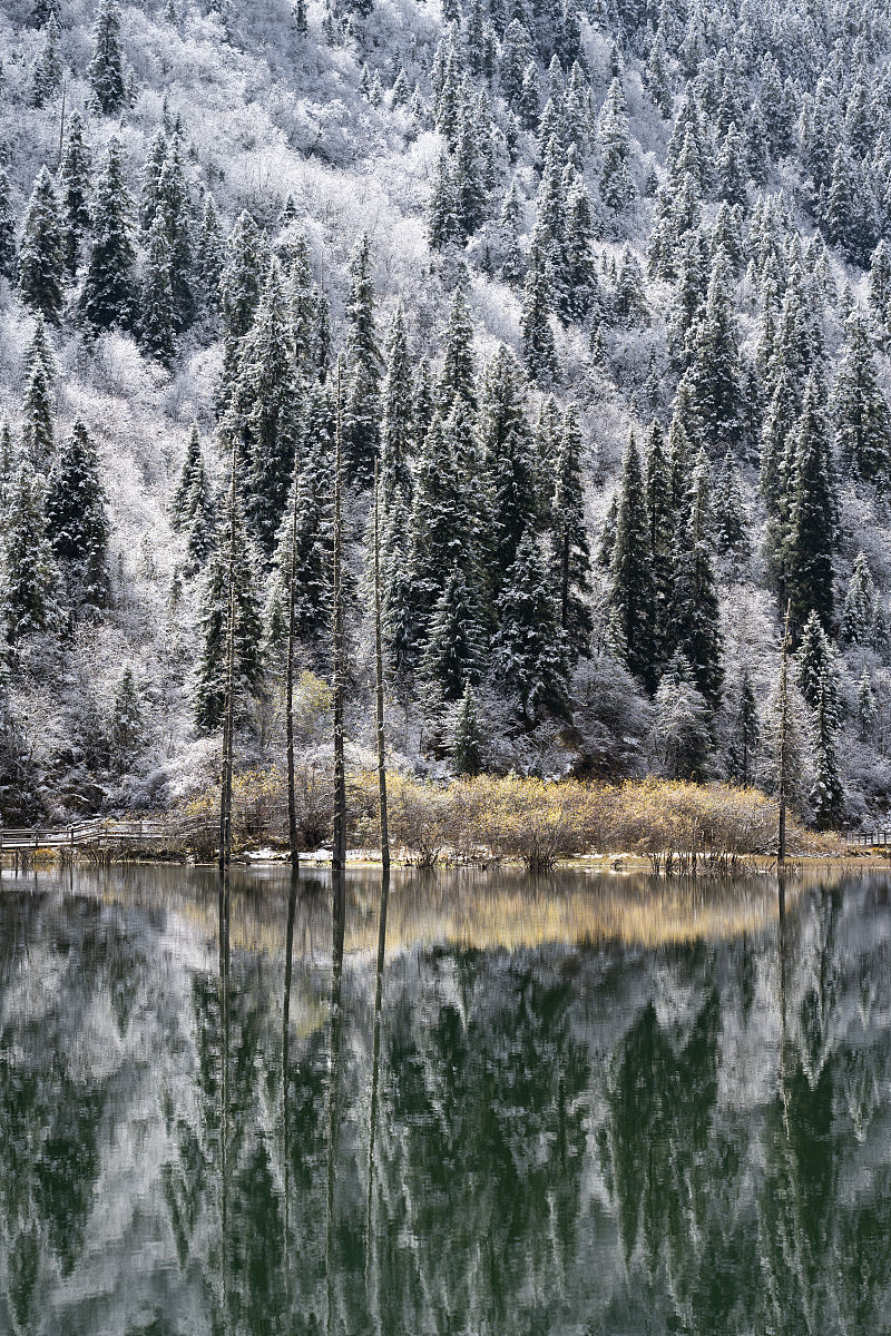 四川会计专业中专中职学校推荐 - 培养你的财务管理才能