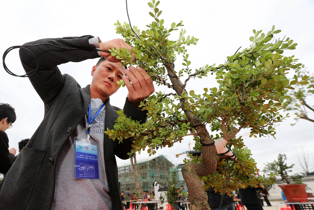 辽宁轻工职业学院的财务管理专业培养目标