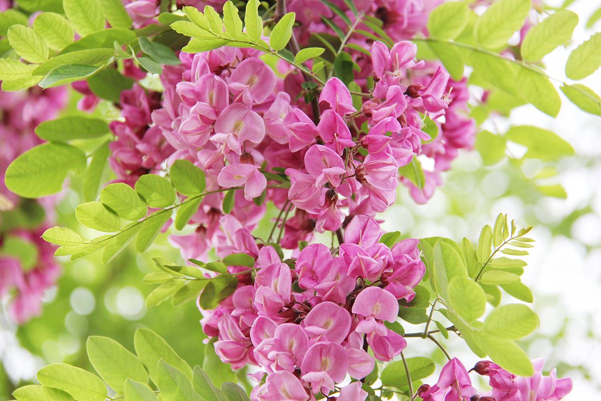 定西陇中护理学校2022年招生条件及报名指南