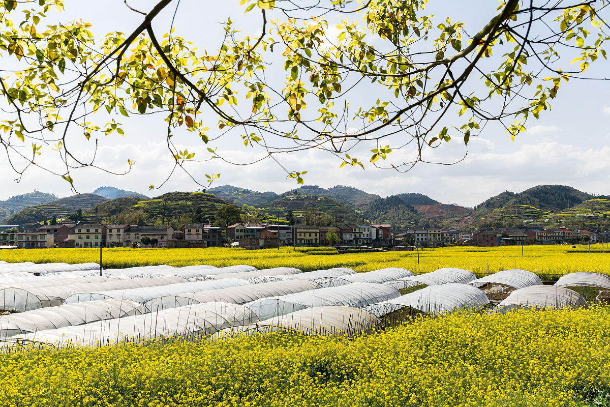农村人居环境整治工程按程序履行报批手续有助于造价控制