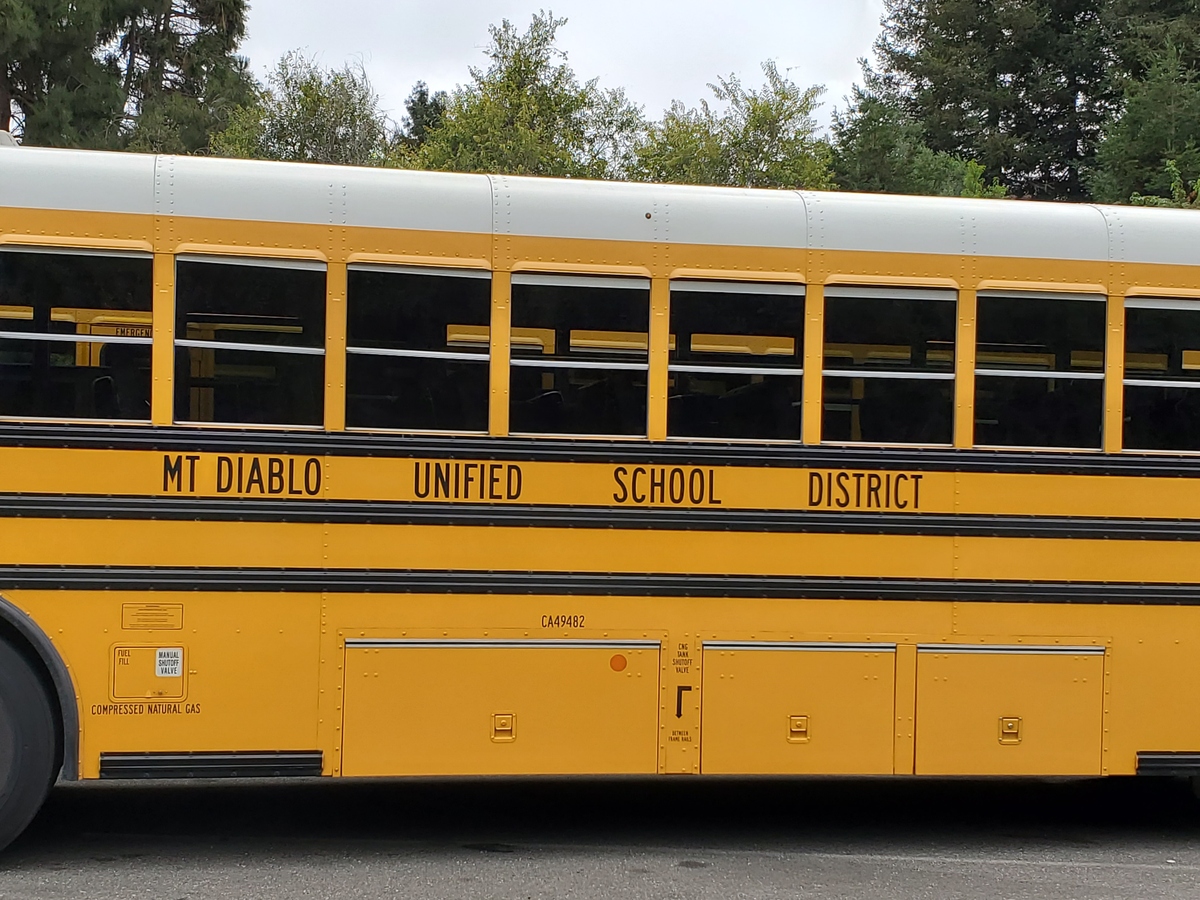 Carotid Artery Plaques with Floating Thrombus: Treatment Options and Considerations