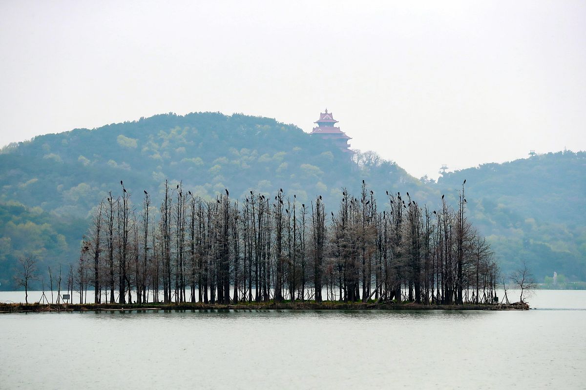 2021年3月3日,武汉东湖落雁景区景色旖旎.(如需下载使用,请务必署名:
