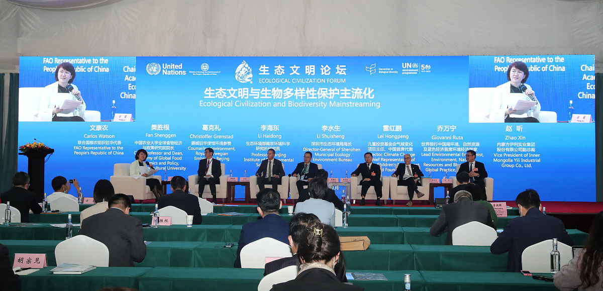 三九药业做过哪些特别活动