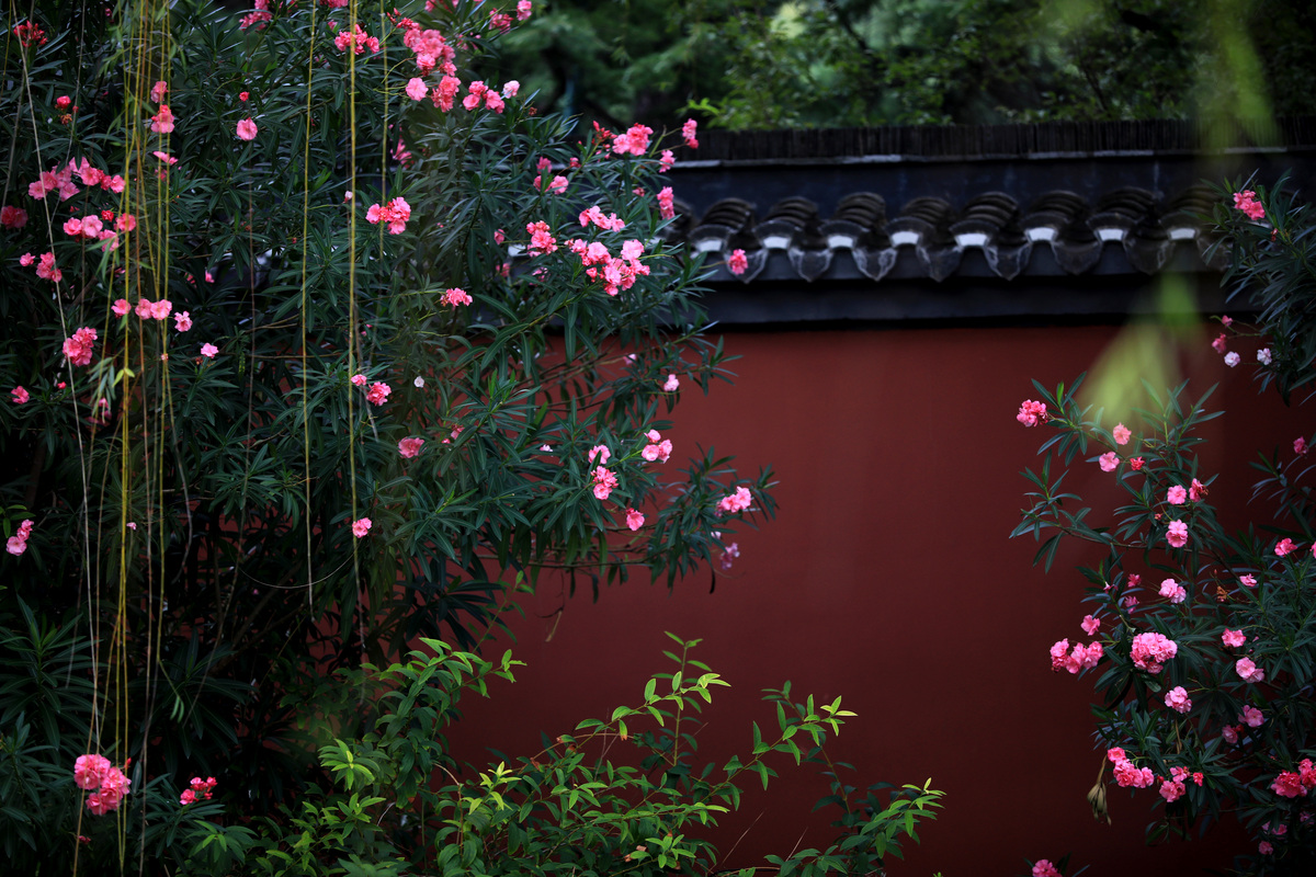 雨打花落残红去，楼心空对下雕栏。你觉得是什么意思，我是一个中年人男人，辛苦给我续写下下面两句吧。