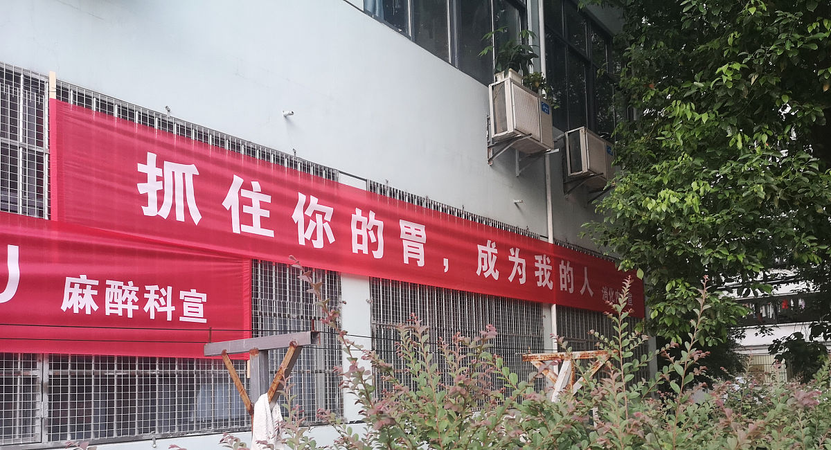 用带电的谐音字写一条开学迎新的横幅标语