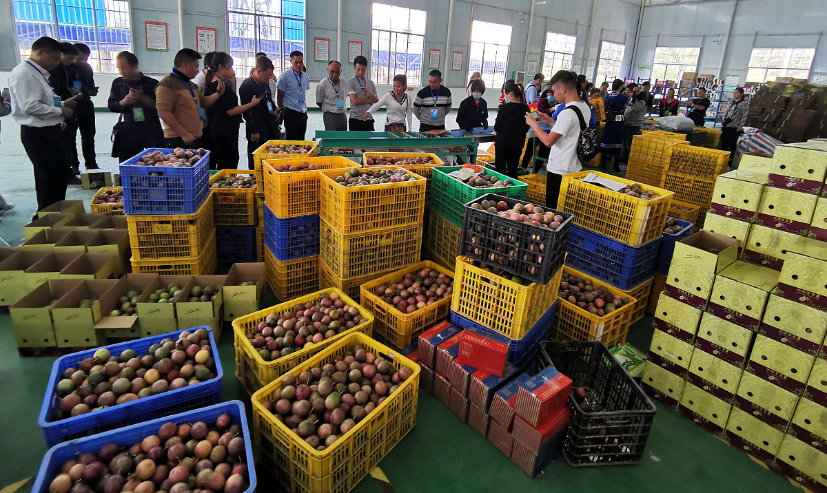 在农产品公司里本周实习收获