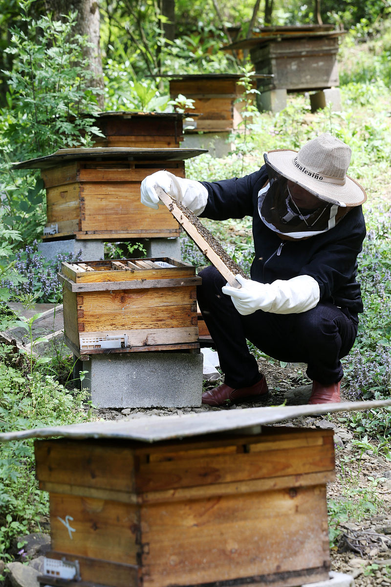 重庆卫校考试难度分析：2020年报考指南