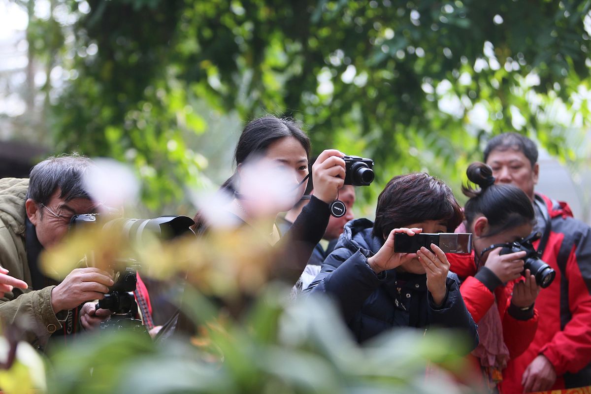 林海日报三十年摄影记者感言：见证变革，记录时代