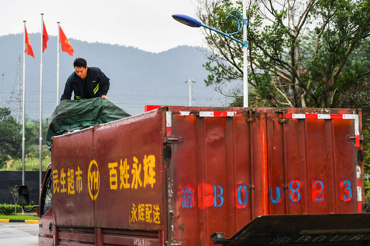 木材货物装卸不当导致货舱损坏 - 海事案例分析