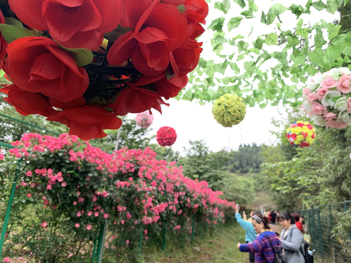 南充旅游职业中专校招生简章 - 培养旅游行业优秀人才