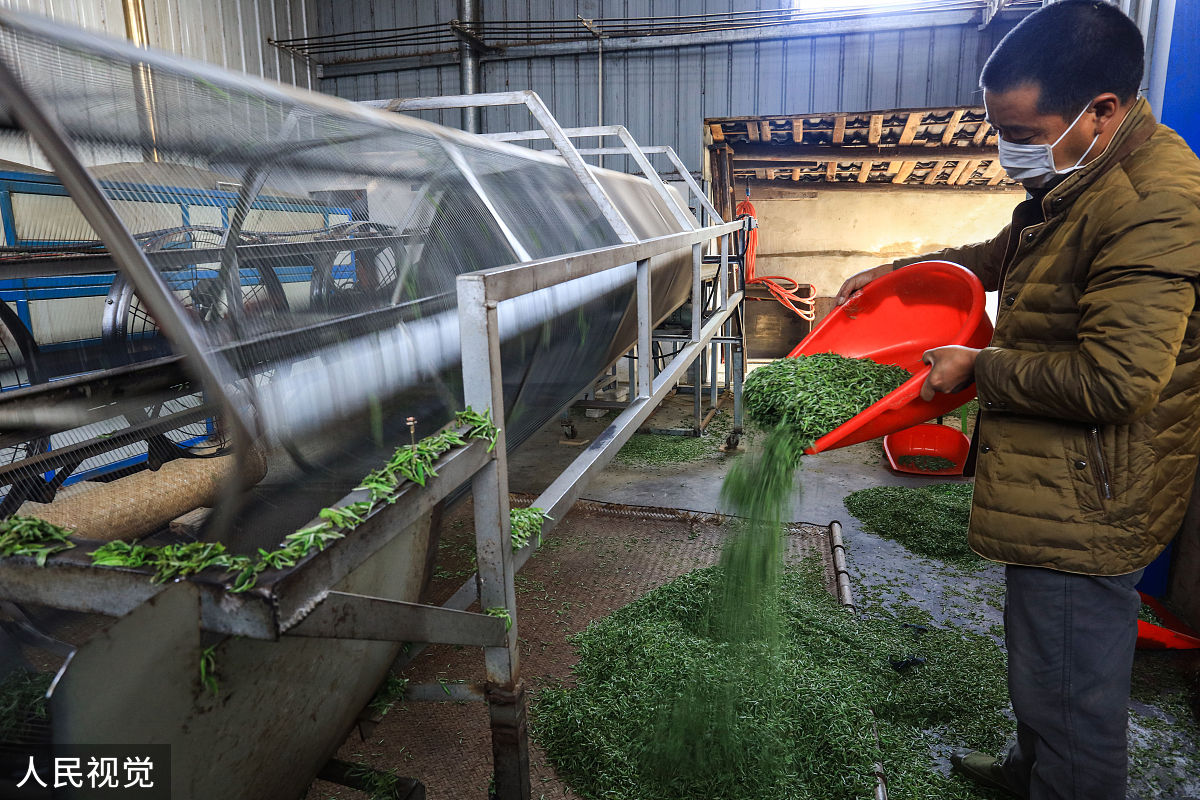 畜禽养殖除臭方法：饲料添加剂和粪便处理