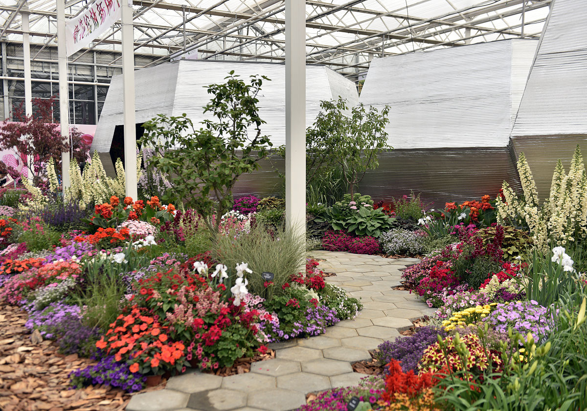 北京地区适合春天种植的花卉品种有哪些？我们准备在幼儿园屋顶露台种植一些花卉，尽量选择观赏性好，对环境适应性好好养殖，没有刺和毒性的，病虫害发生少的品种。请列表方式表达：1.种植的方式，盆栽或者露天土地种植；2.幼苗种植的过程，是否需要种子泡发芽等；3.浇水水量及养护方法；4.病虫害防治及其他注意事项