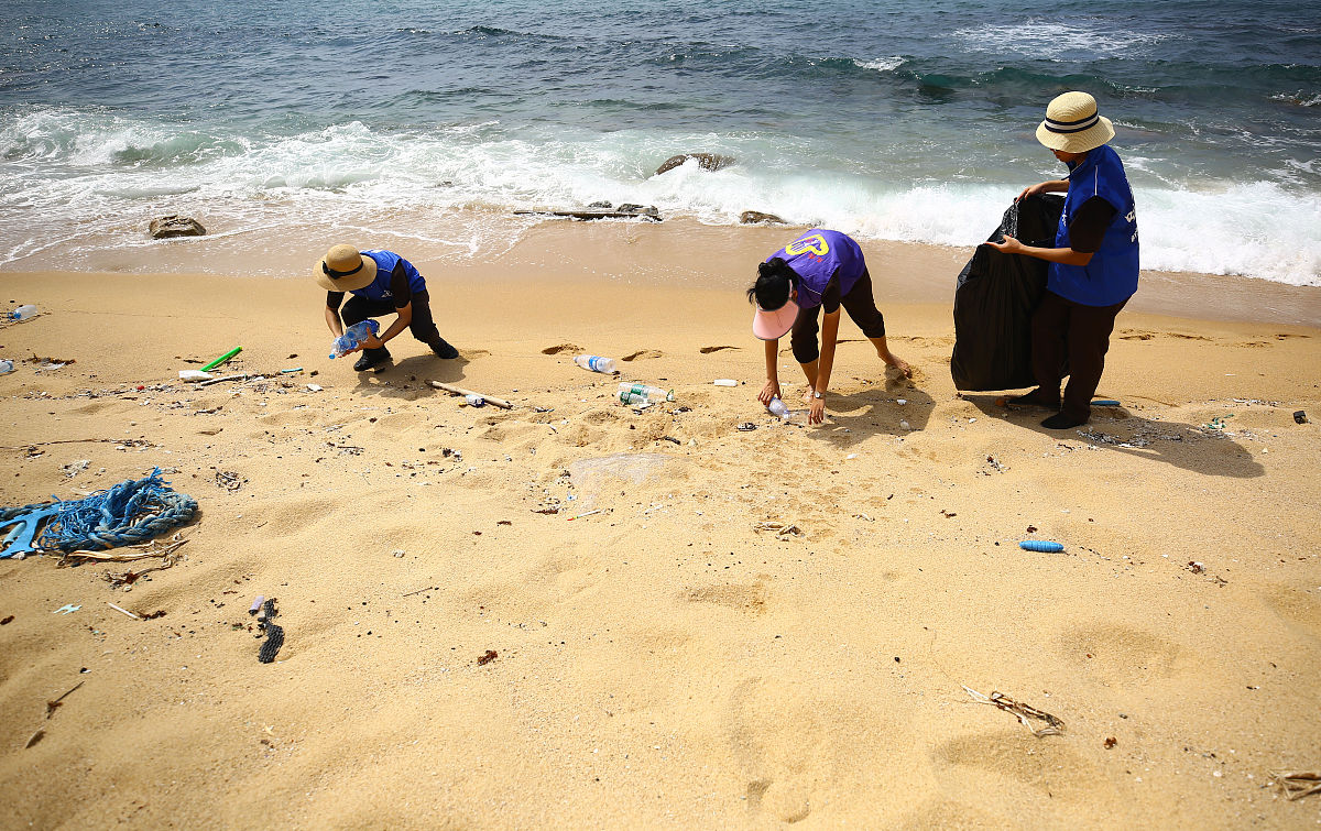 关于海滩捡垃圾的社会采访散文