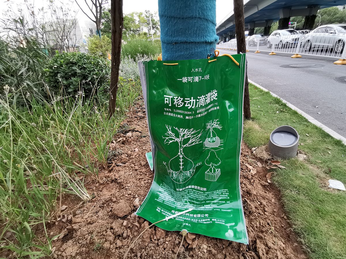 绿化施工合理化建议：打造高效、可持续的绿色空间