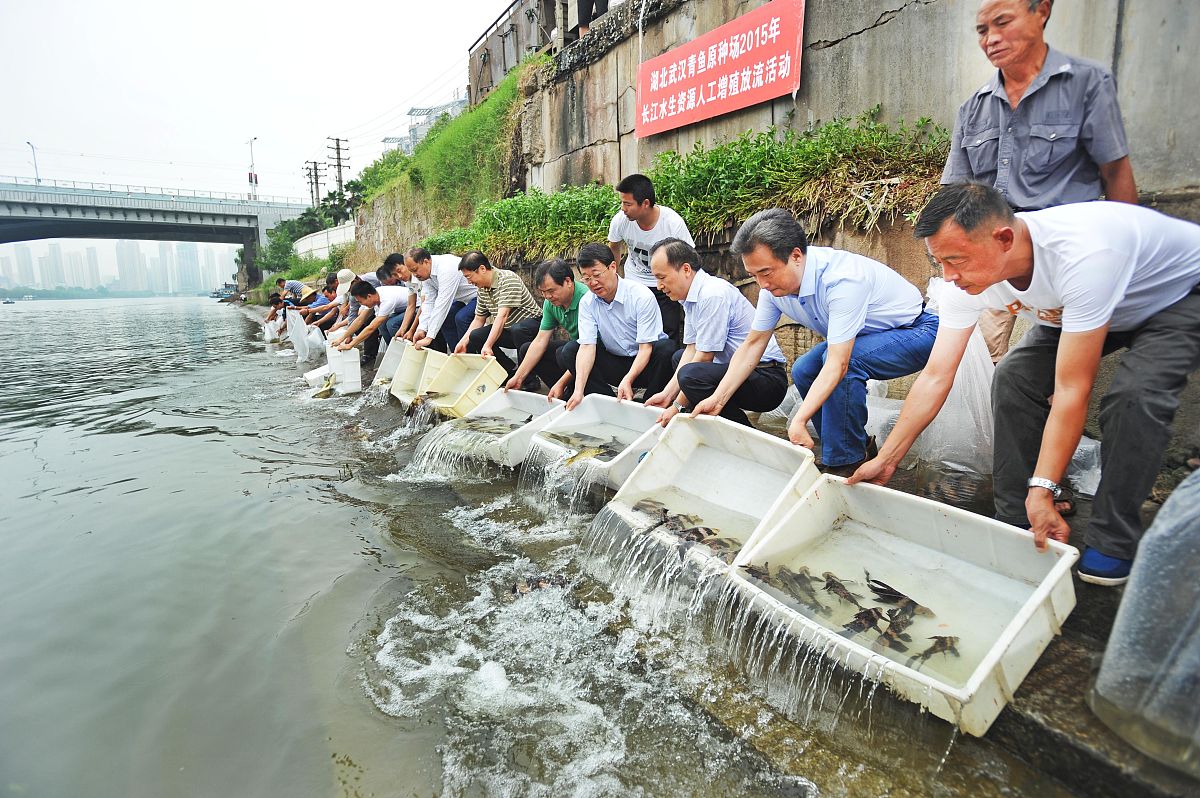 阳新县职业教育中心淡水养殖简介