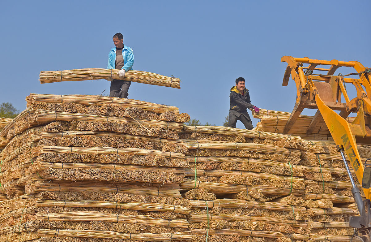 贵州2022年本科和中专区别：入学、课程、毕业要求