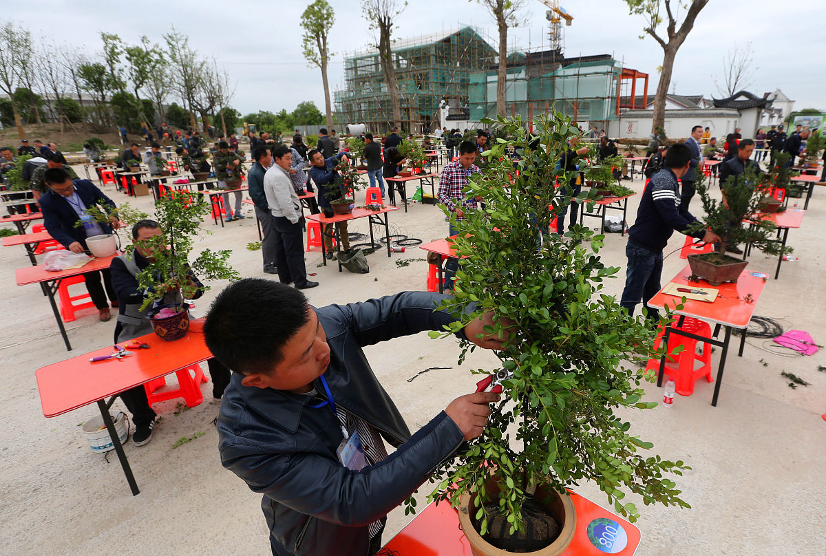 河南幼儿师范学校2023年招生专业：培养幼儿教育人才的摇篮
