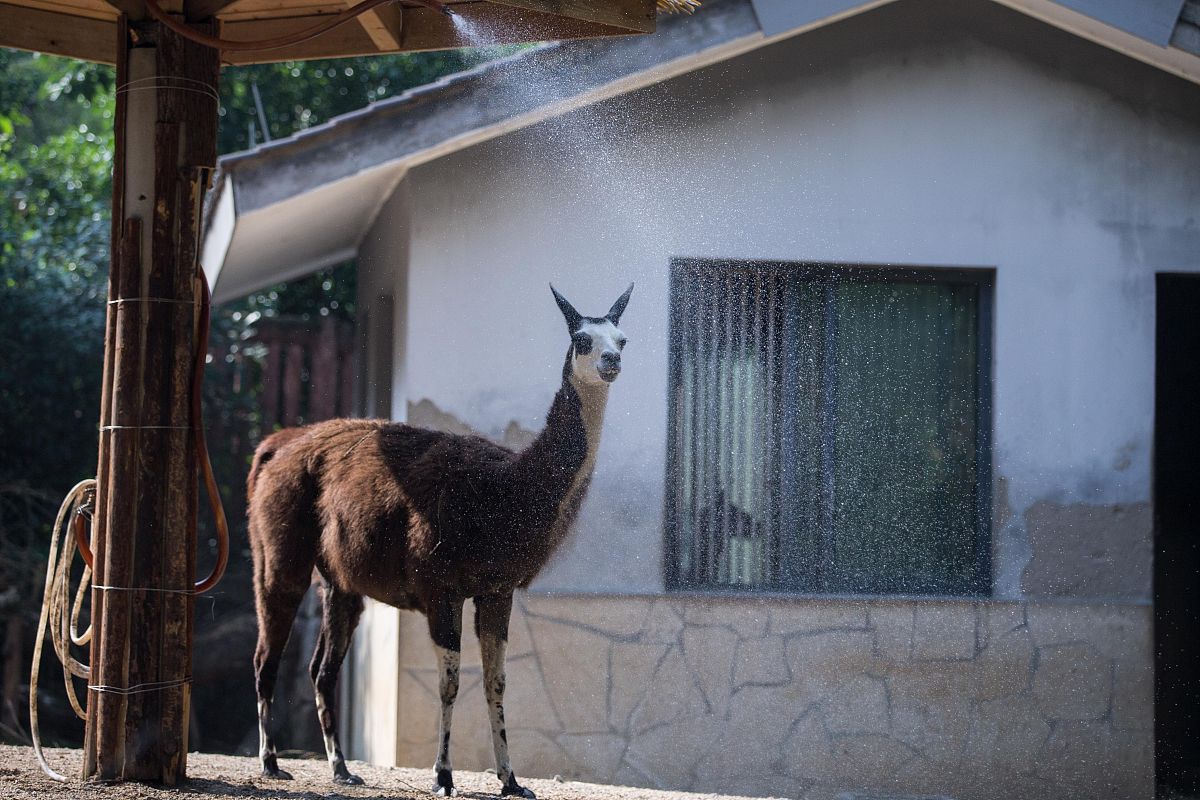夏日炎炎，空调优惠，找我享清凉！