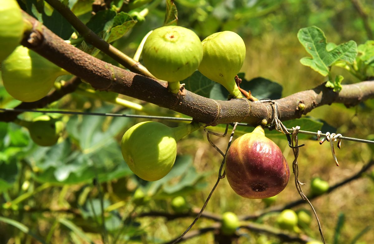 河源技师学院2023年专业设置及热门专业推荐