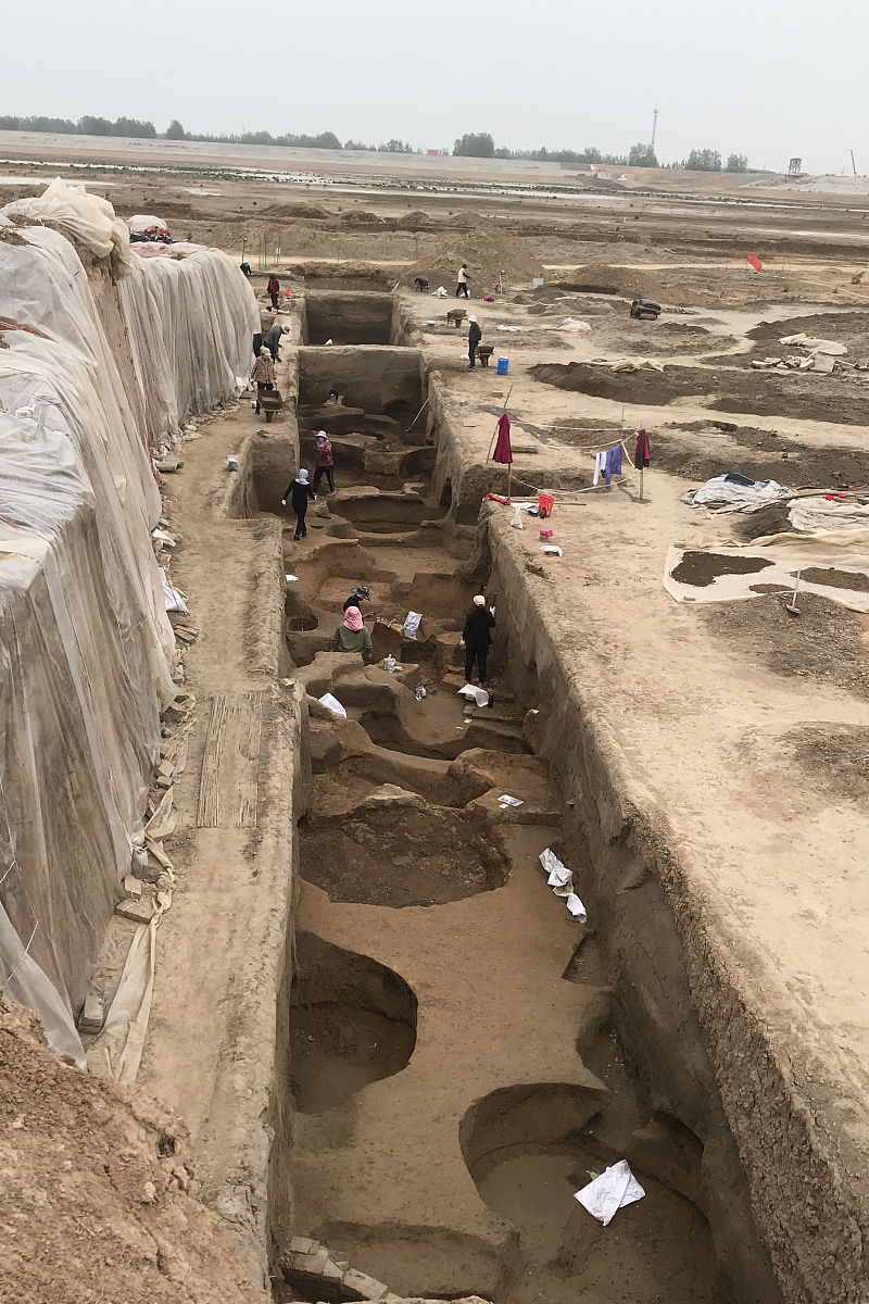 农村公共文化服务成果：提升文化素质、促进发展、增强凝聚力