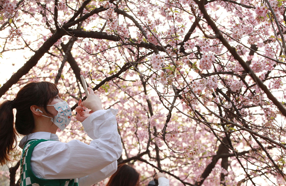 中山三乡镇理工学校2022年招生简章
