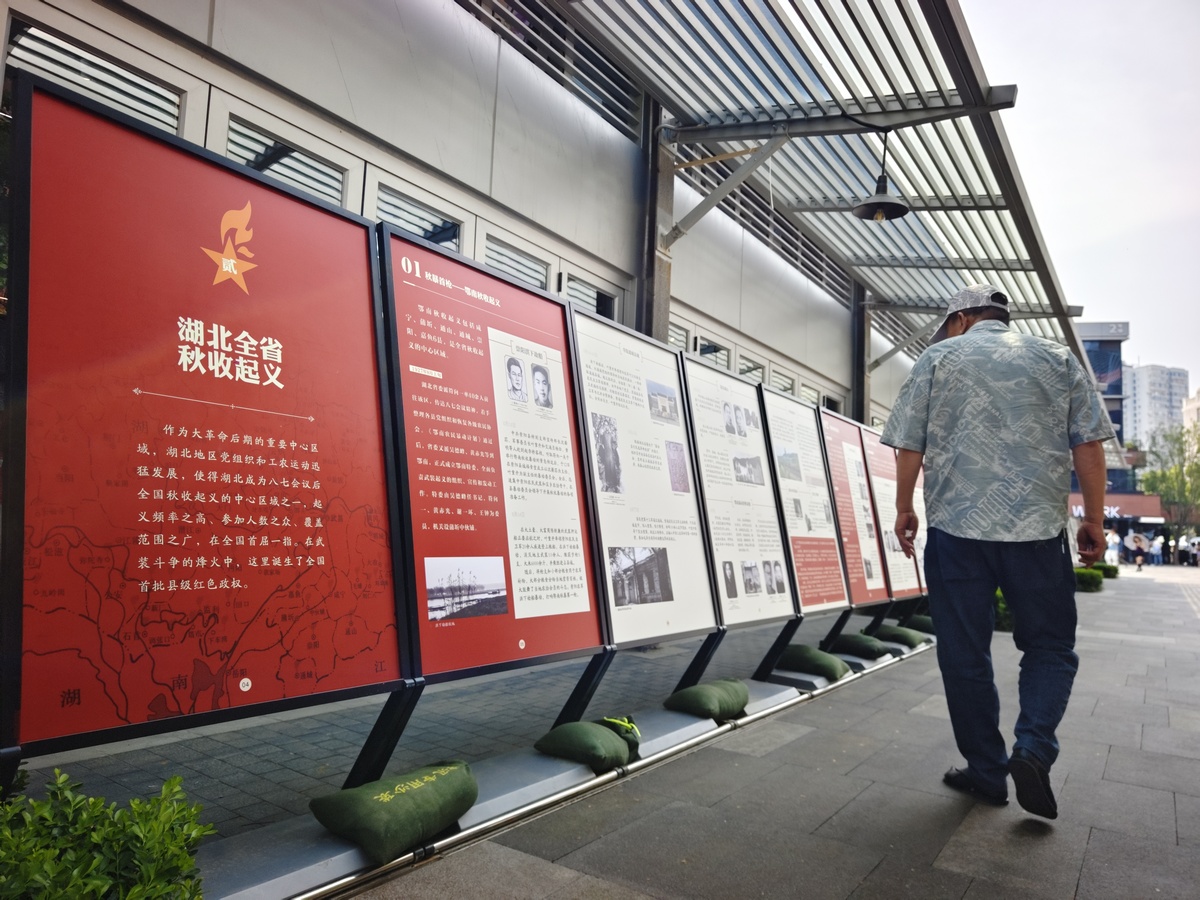 学校层面党建五基三化的典型案例的基本情况、主要做法和经验启示3000字左右